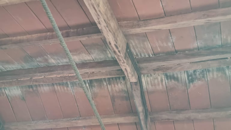 Tejado de madera expuesta con acabados marrones y visible humedad, sin personas presentes.