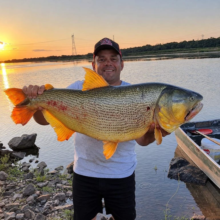 Pablo Servín sonriente, con pantalones cortos, sostiene un dorado amarillo brillante junto al río durante el atardecer.