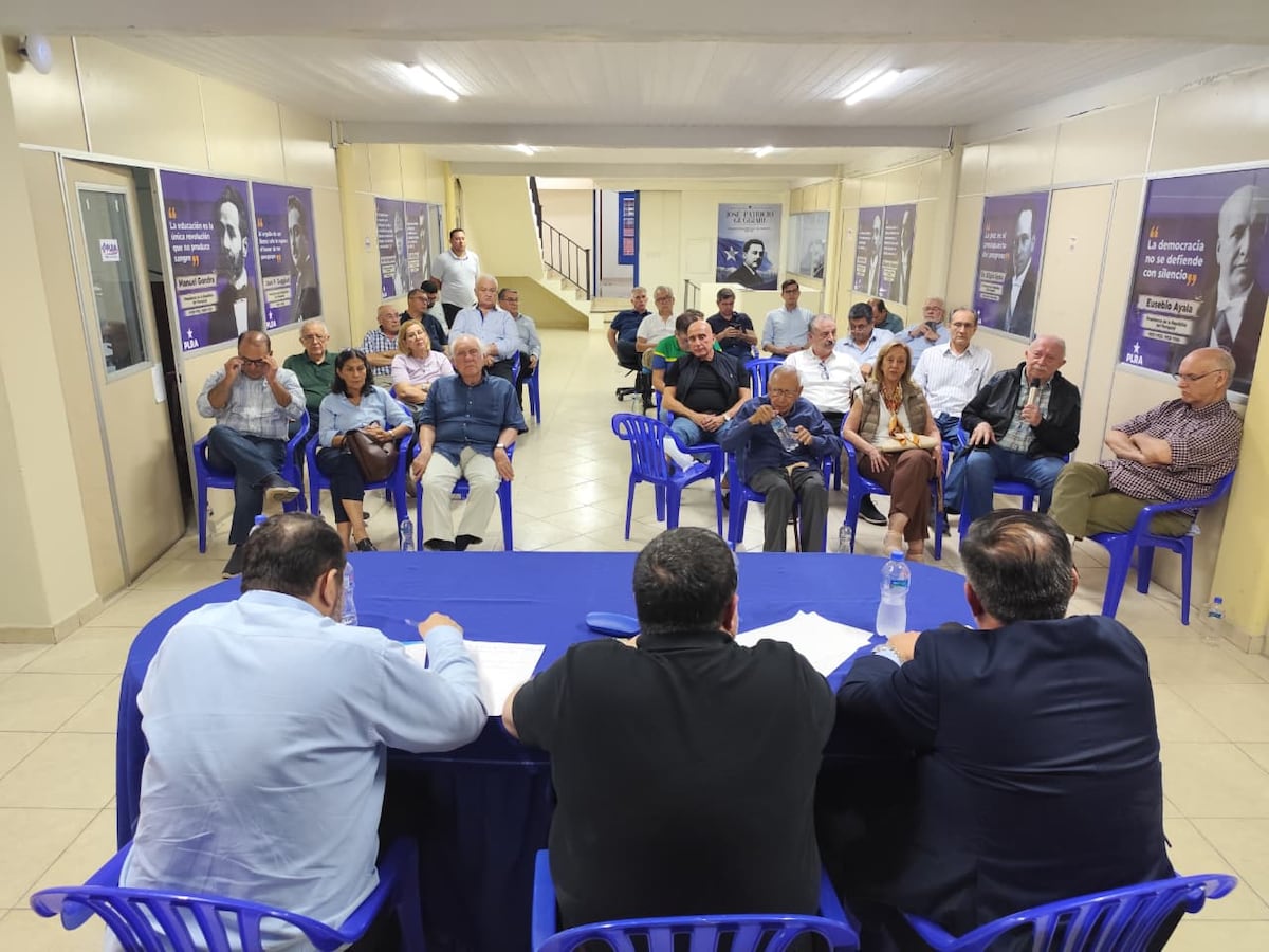 Listas cerradas en la interna del PLRA: “es solo un tema de debate”, dice Alcides Riveros