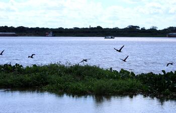 Nivel del río Paraguay en la bahía de Asunción. Pronóstico del tiempo.