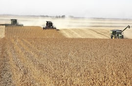 Reglamento antideforestación de la UE se prorroga, pero las dudas persisten