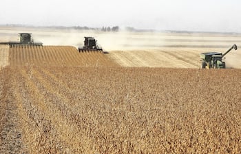 Reglamento antideforestación de la UE se prorroga, pero las dudas persisten