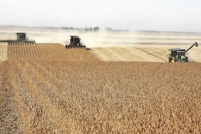 Reglamento antideforestación de la UE se prorroga, pero las dudas persisten