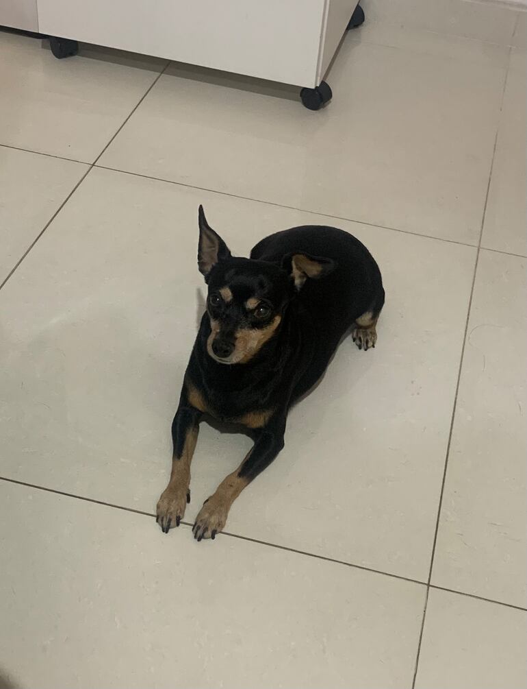 Sebom se perdió en Capiatá.