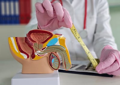 Concepto de tamaño del pene.