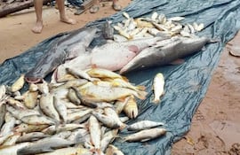 Mortandad de peces Itapé