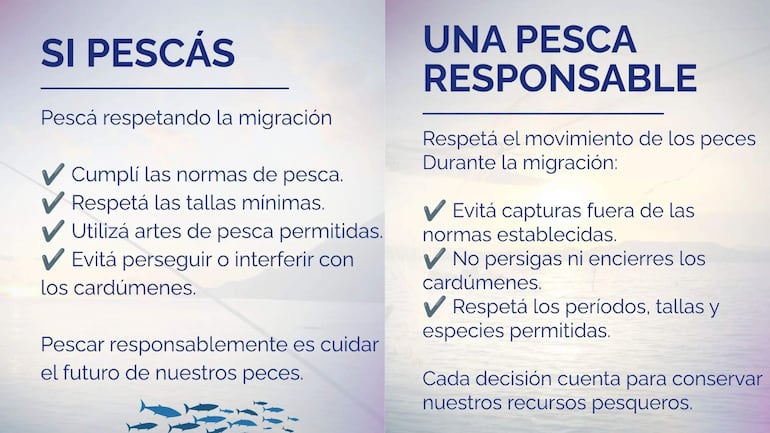 Flyer informativo sobre pesca responsable con recomendaciones sobre normativas a seguir en un entorno acuático.