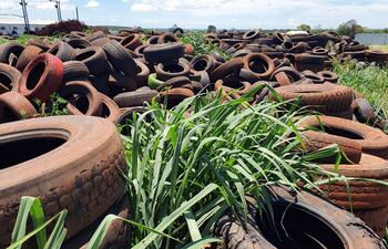 Las cubiertas en desuso son hoy una importante fuente de contaminación ambiental que apeligra los ecosistemas naturales.