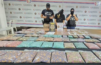 Imputan a dominicano que llevaba dosis de éxtasis por G. 5.000 millones en Villa Elisa