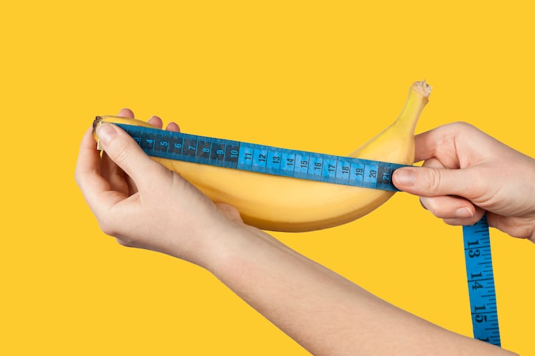 El pene no suele crecer ni encogerse de forma marcada tras la pubertad, pero la edad, la calidad de la erección, el peso y algunas enfermedades pueden modificar su apariencia o longitud funcional.