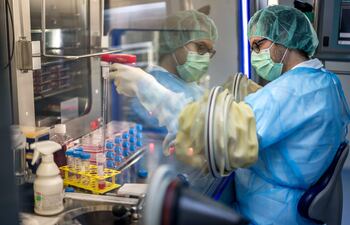 Un analista biomédico trabaja en el centro de producción celular del Hospital Universitario de Lausana (CHUV), en Epalinges, sobre Lausana, el 13 de enero de 2026. El centro de producción celular del Hospital Universitario de Lausana trabaja a pleno para cultivar nueva piel destinada a sobrevivientes con quemaduras graves tras la tragedia del incendio en un bar durante Año Nuevo en Suiza.