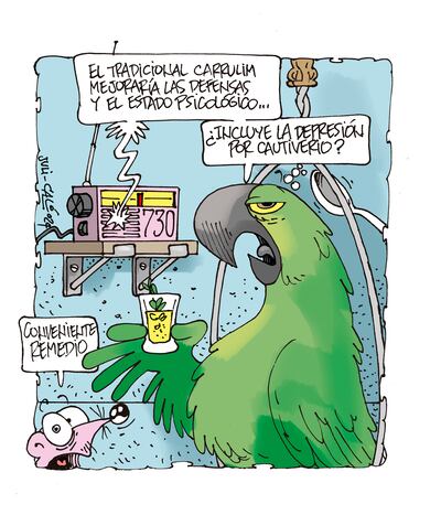 REMEDIO