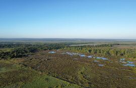 Así se ve la zona de humedales que corre peligro de constaminación por la construcción de un vertedero en el lugar.