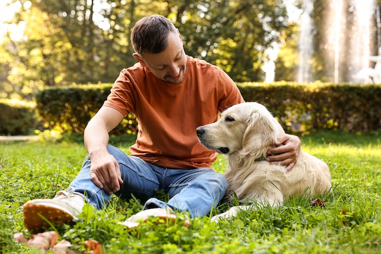 Perro de la raza golden retriever con su humano.