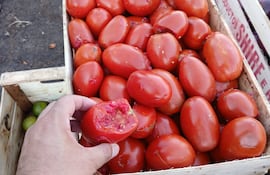 Caja de tomate picado que se vende a G. 60.000 en el Mercado de Abasto