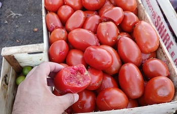 Caja de tomate picado que se vende a G. 60.000 en el Mercado de Abasto