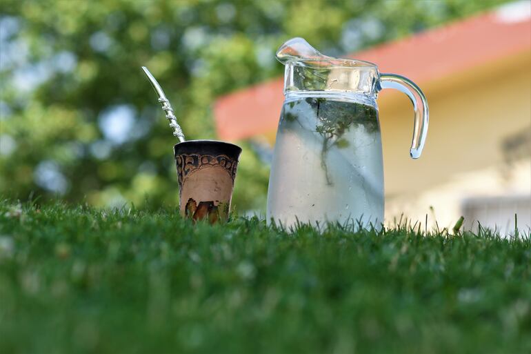Una guampa de tereré con una jarra de agua fría apoyadas en el pasto.
