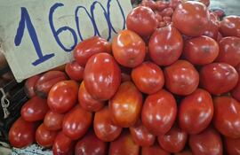 Tomates de buena calidad y a precio accesible en el Abasto Norte.