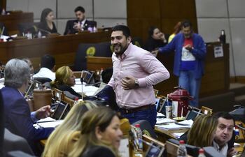 Sesión de la Cámara de Diputados.