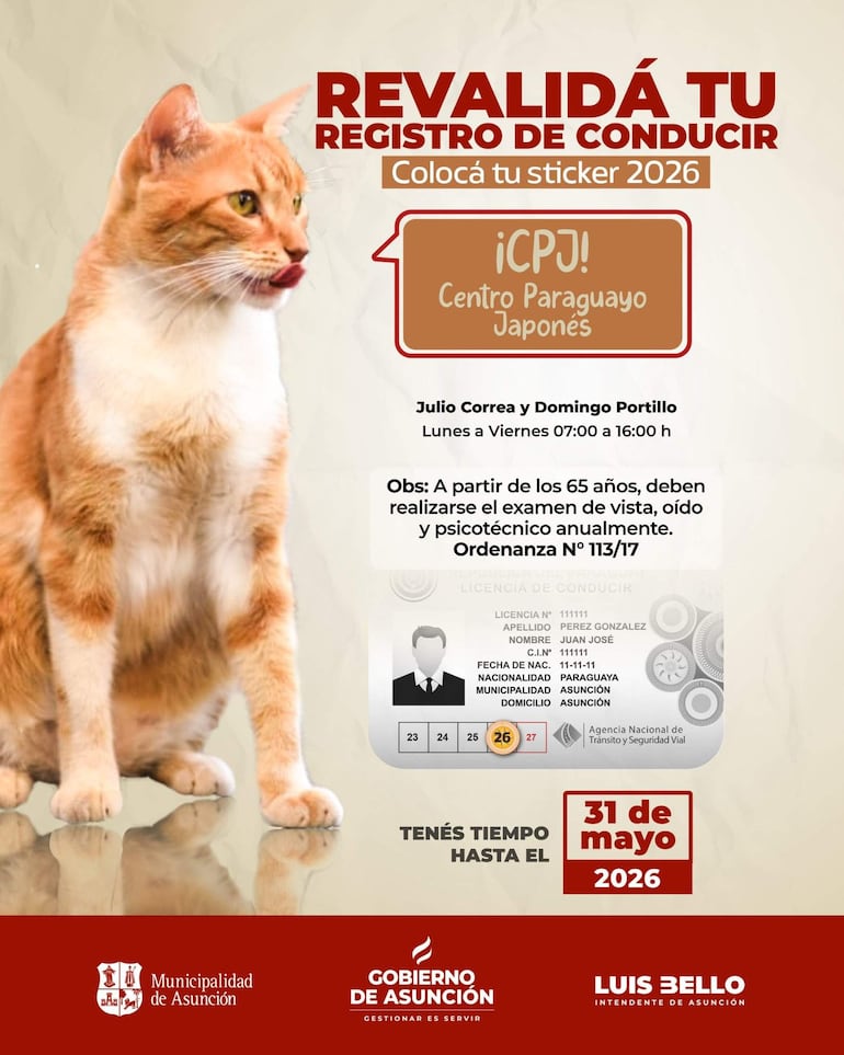 Cartel informativo con un gato naranja y texto sobre revalidación de licencias, horarios y requisitos para mayores de 65 años.
