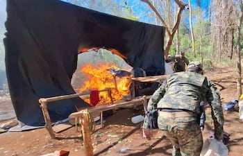 Los antidrogas incineraron la marihuana incautada en el lugar.