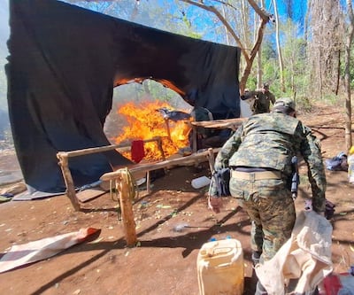Los antidrogas incineraron la marihuana incautada en el lugar.