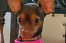 Fue vista por última vez frente al colegio Santa Catarina de Sienna, en Lambaré, Barrio Valle Ybate.