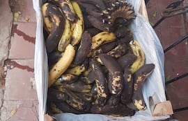 Bananas del programa Hambre Cero, se pudrieron antes del primer día de clases en la escuela Profesora Aurelia Torres, de Itá.