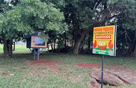 vdb Autoservicio de venta de Huevos ubicado en el km 217 de la Ruta Py 02 que se basa en la confianza y honestidad de la gente.