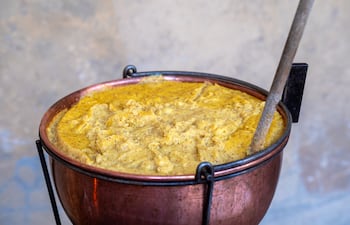 Rora kyra, imagen ilustrativa.