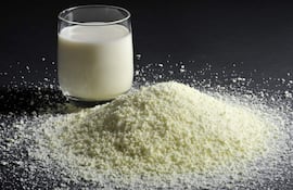 Leche en polvo