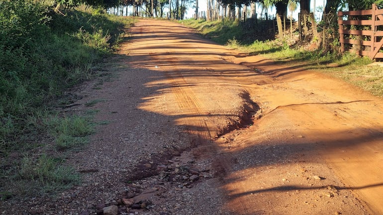 Sendero rural de tierra rodeado de vegetación, con sombras de árboles marcadas por el sol.