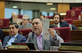 Ever Villalba, senador del PLRA. Foto de Prensa Senado.