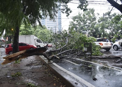 Las ráfagas de viento que acompañaron al sistema de tormentas echaron abajo árboles que bloquearon algunas vías.