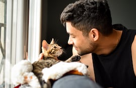 Vínculo humano-gato.