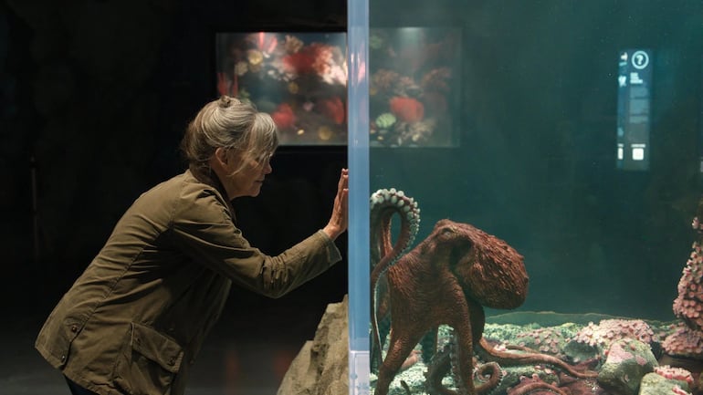 Criaturas luminosas película Sally Field