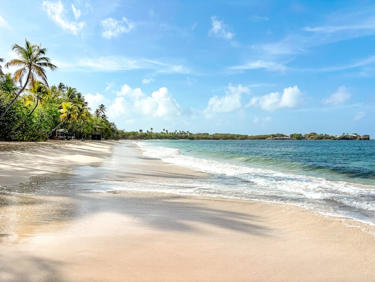 Les Salines, playa de arena blanca del Caribe en Sainte-Anne, Martinica.