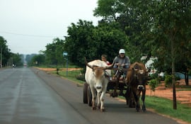En el área rural es donde más de la mitad de la población (53,1%) utiliza el idioma guaraní.