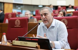 Ever Villalba (PLRA), senador.
