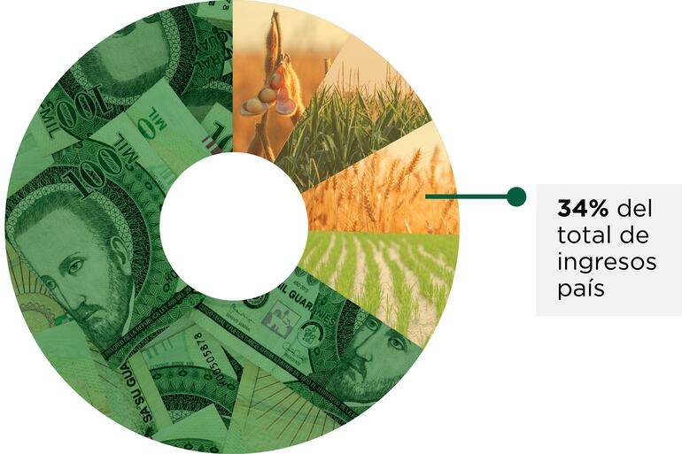 Soja, maíz, trigo y arroz representan el 34% del total de ingresos país