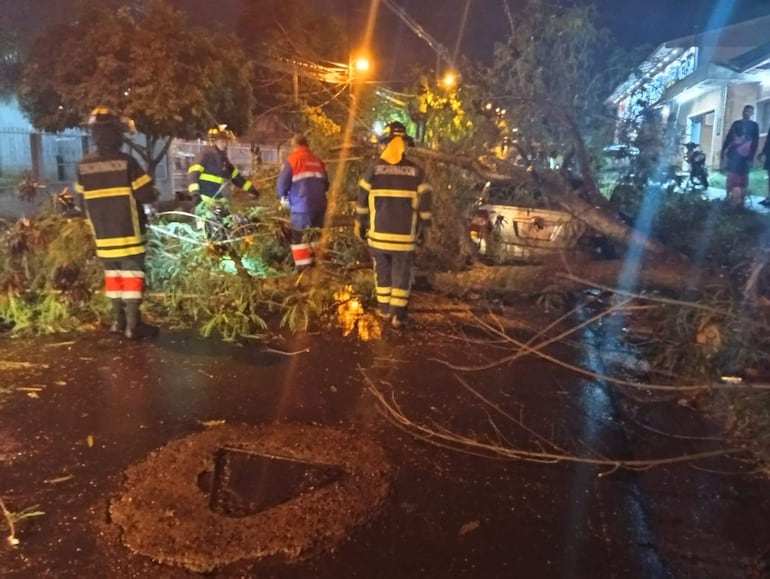 Bomberos con chaquetas oscuros y franjas amarillas retiran ramas en una calle mojada, con un vehículo dañado visible.