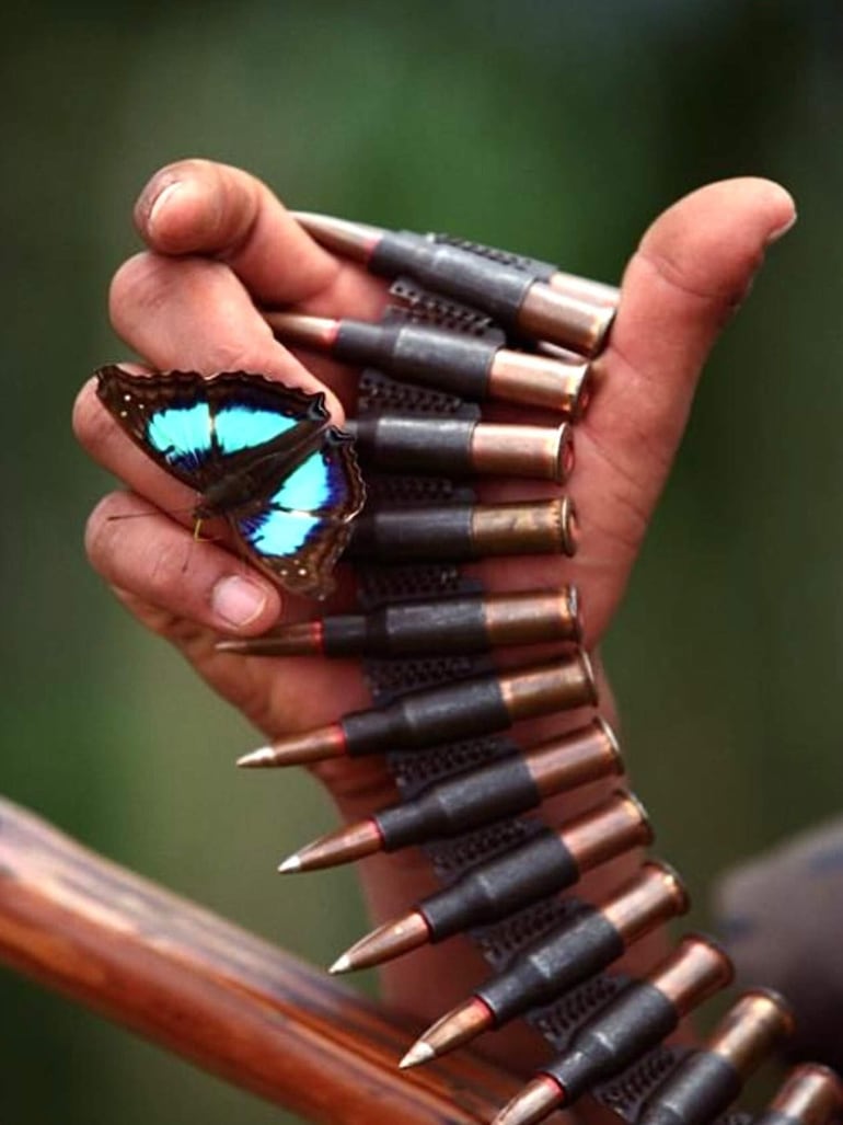 Una persona sostiene una mariposa colorida en la mano izquierda y una cinta de balas en la derecha, rodeada de vegetación difusa.