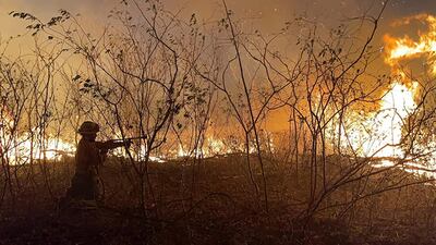  En 2024, más de 200 mil hectáreas fueron destruidas en todo Alto Paraguay, de las cuales 82.000 correspondían a la reserva del cerro Chovoreca, según Infona.