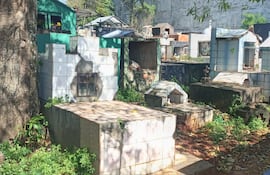 Urgen mantenimiento en cementerio de Presidente Franco