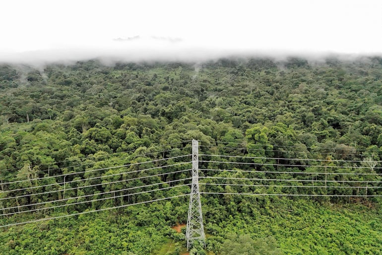 Esta fotografía aérea tomada el 10 de junio de 2026 muestra el bosque protegido en las montañas Cardamomo Centrales, en la provincia de Koh Kong. Sobre el murmullo de la lluvia que cae en cascada a través del dosel de la selva, se eleva el sobrecogedor llamado de un gibón crestado, que canta para ahuyentar a los intrusos en las montañas Cardamomo de Camboya.