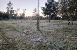 Paisaje natural en Pirapó, con hierba cubierta de escarcha y árboles al fondo bajo un cielo despejado.