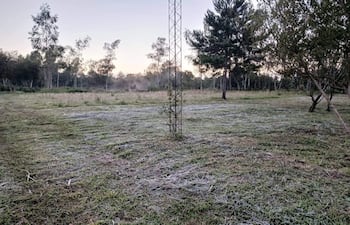 Paisaje natural en Pirapó, con hierba cubierta de escarcha y árboles al fondo bajo un cielo despejado.