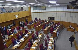 Sesión de la Cámara del Senado en el Congreso Nacional.
