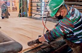 Para Fepama, la industria forestal tiene el potencial de convertirse en el principal motor económico del país en la próxima década.
