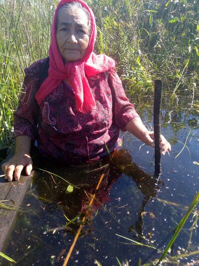 Doña Asunción Portillo, pobladora de Potrero González, camina por el agua para salir hasta la ruta principal para buscar alimentos.